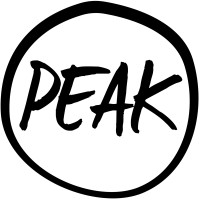 Peak Motorcycles logo - Similar company to Anesdor