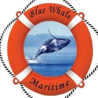 Blue Whale Maritime Pvt. Ltd. logo - Similar company to Vintech Ltd