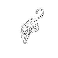 The Pink Leopard Project logo - Similar company to The Nfp Ceo