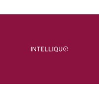 Intelliquo logo - Similar company to Standarde