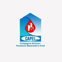 CAPEF AFRICA logo - Similar company to Zerohunger Consulting (Zehuco)