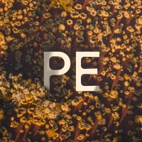 Pilbara East logo - Similar company to Netplanet Digital Pty Ltd