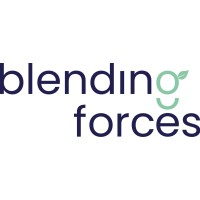 Blending Forces logo - Similar company to Vigere