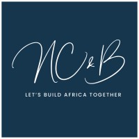 NC & Banat Strategic Partners logo - Similar company to Evolve Technology (Pvt) Ltd