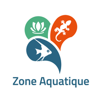 Zone Aquatique