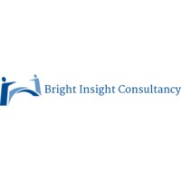 Bright Insight Consultancy logo - Similar company to Adslefy