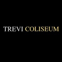 Trevi Coliseum logo - Similar company to Jefe