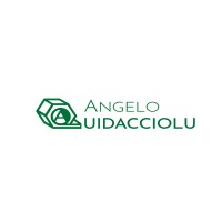 Quidacciolu Costruzioni Meccaniche logo - Similar company to Dbcreation - Web Agency