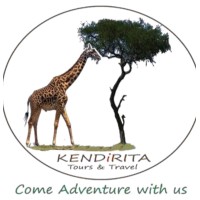 KENDIRITA TOURS AND TRAVEL LIMITED logo - Similar company to Memima Limited
