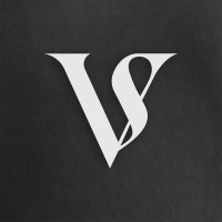 Vicco Studio logo - Similar company to Triadesoft