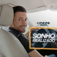 Gandini Automóveis logo - Similar company to Grupo Gandini