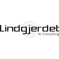 Lindgjerdet AI Consulting logo - Similar company to Acex Ai As