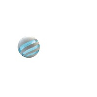 Digital Inteligent Solutions