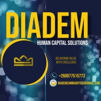 DIADEM HUMAN CAPITAL SOLUTIONS logo - Similar company to Fourth Mind