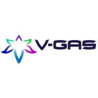 V-Gas Bulgaria EAD logo - Similar company to Elfinity