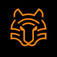 Tech Tiger Group logo - Similar company to 4Gadgets
