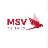 Mauve Sports-MSV oHG logo - Similar company to Fusion Frame Design