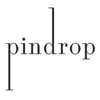 Pindrop Studio logo - Similar company to Simon Oldfield Art Associates