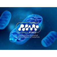 PIMO logo - Similar company to Lims-Mbnext