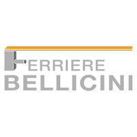 FERRIERE BELLICINI S.R.L. logo - Similar company to Comunità Pratica
