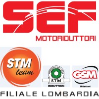 SEF Motoriduttori [STM GSM Group] logo - Similar company to Gsm S.P.A.
