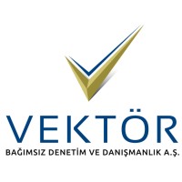VEKTÖR BAĞIMSIZ DENETİM VE DANIŞMANLIK A.Ş. logo - Similar company to Mt Grup