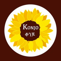 Konjo logo - Similar company to Sky-Hub Technology Solutions