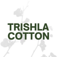Trishla Cotton logo - Similar company to Raisinghani Textiles