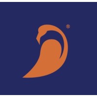 The Mango Flamingo logo - Similar company to 16Percent™ Skincare (Rineu)