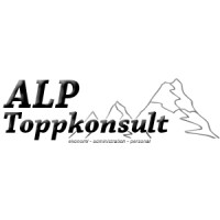 ALP Toppkonsult logo - Similar company to Impex-Data Kb