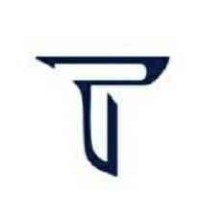 Triac Engineering Services