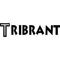 Tribrant logo - Similar company to Dreamerce