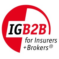 IG B2B for Insurers + Brokers logo - Similar company to Transperform Consulting Gmbh