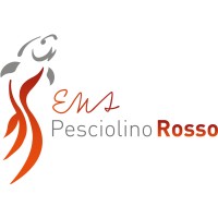 Ema Pesciolinorosso logo - Similar company to Prime Web Solution Srl