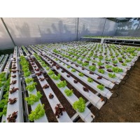 aiofarm logo - Similar company to 티쓰리큐 주식회사