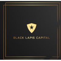Black Lapis Capital logo - Similar company to Centre State Exports