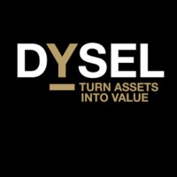 Dysel logo - Similar company to Dynamics4Business