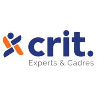 Crit Experts & Cadres logo - Similar company to Netse
