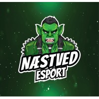 Næstved Esport logo - Similar company to Louisenlund Bosted