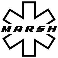 Marsh EMS Consulting logo - Similar company to Alexios Security Solutions, Llc