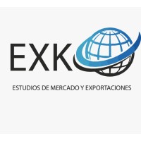EXKO Corea del Sur logo - Similar company to Rgmx Corea Del Sur