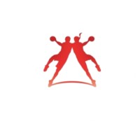 Federação Mineira De Handebol