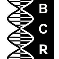Burlingame Cancer Research