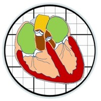 Butcher Lab logo - Similar company to Butcher & Bee