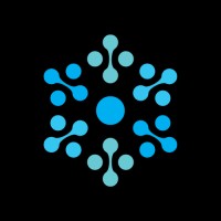 CyberSnow logo - Similar company to Ridego