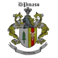 DPINASO CONTABILIDADE E ASSESSORIA EMPRESARIAL