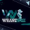 WEASTTECHNOLOGY logo - Similar company to Fastsource Solution