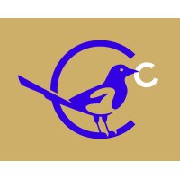 Collect2Connect NL logo - Similar company to Des Schoonmaakdiensten B.V.