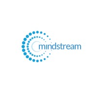 Mindstream Systems LLC logo - Similar company to Itacs Communication Technologies Llc