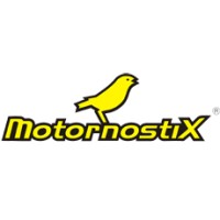 Motornostix logo - Similar company to Tegnon